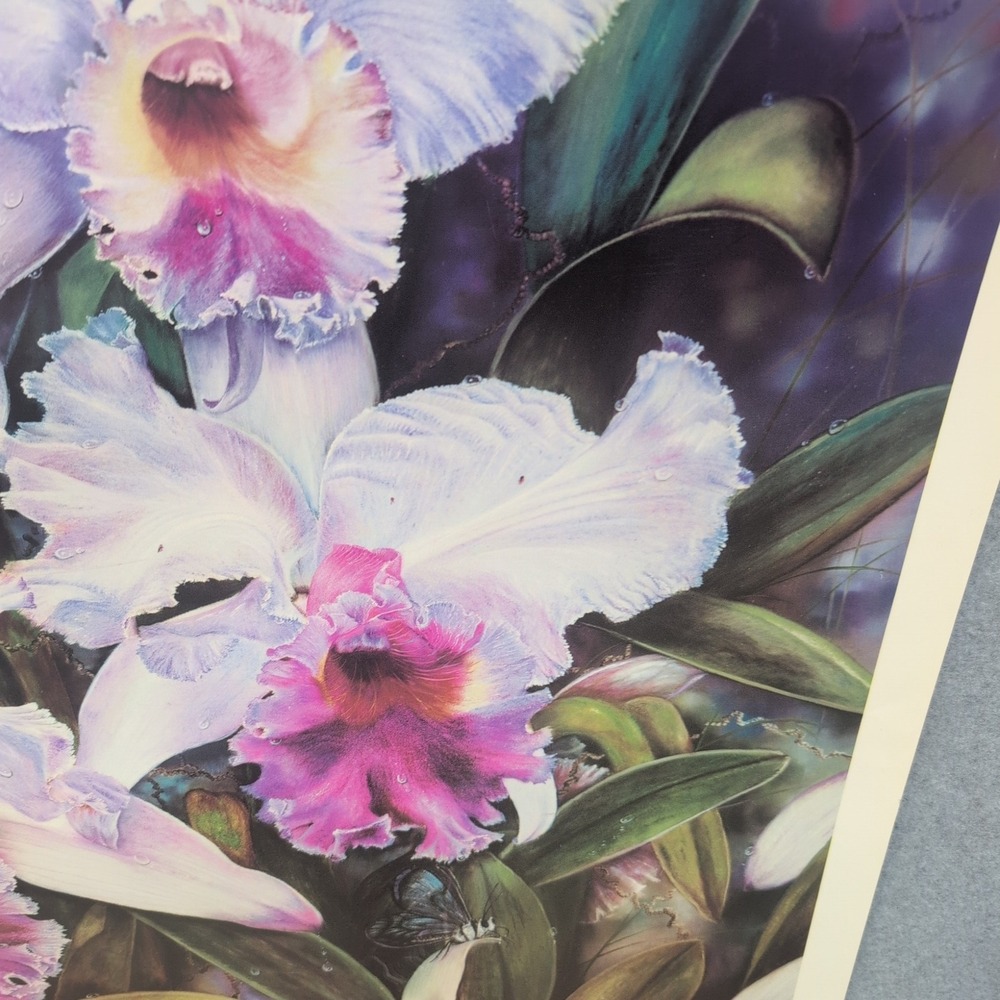 Sonia Torres Butterfly White Orchids‎ Dendrobium Artist Print Signed Limited Ed - Picture 3 of 8
